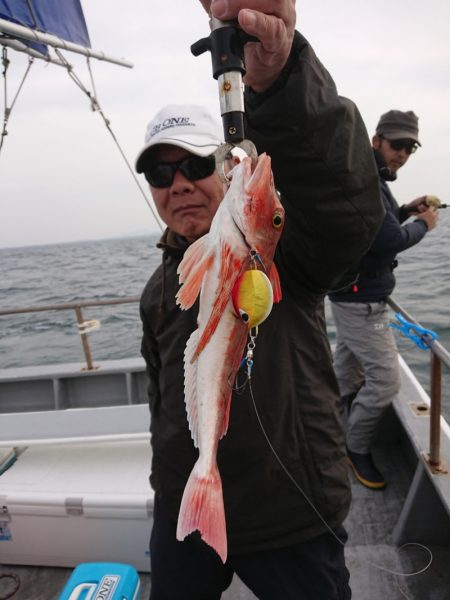 ありもと丸 釣果