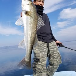 アマテラス 釣果