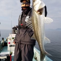 アマテラス 釣果