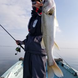 アマテラス 釣果