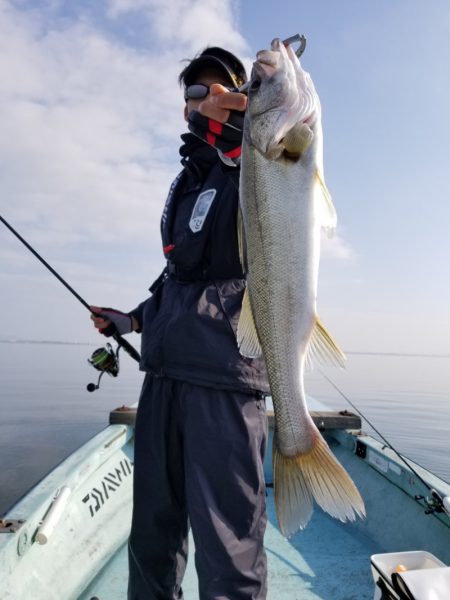 アマテラス 釣果