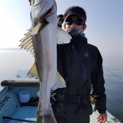 アマテラス 釣果