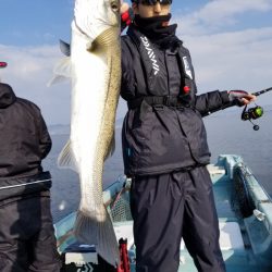 アマテラス 釣果