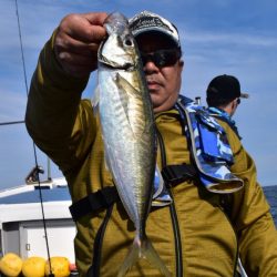 渡船屋たにぐち 釣果