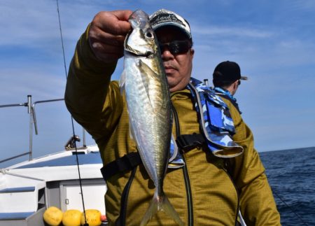 渡船屋たにぐち 釣果