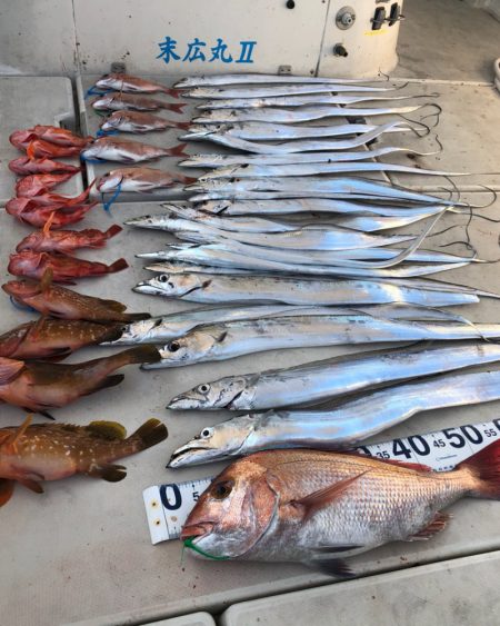 末広丸(熊本) 釣果