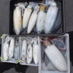 渡船屋たにぐち 釣果