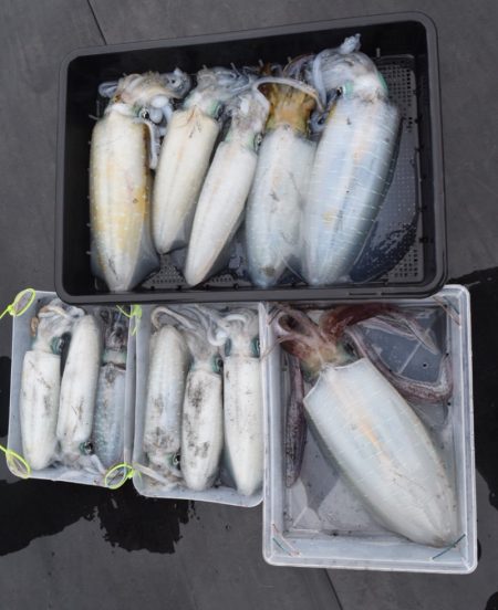 渡船屋たにぐち 釣果