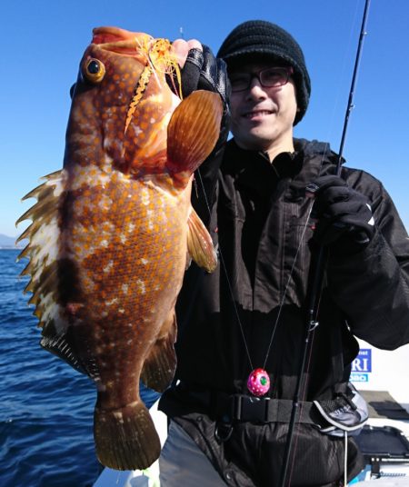 遊漁船　家入 釣果