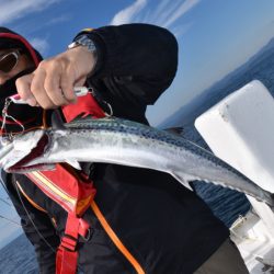 渡船屋たにぐち 釣果