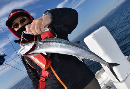 渡船屋たにぐち 釣果