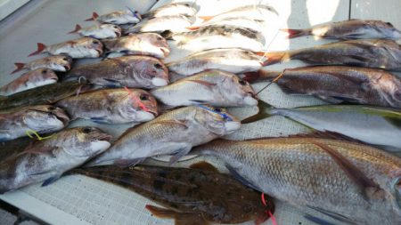 タイラバ遊漁船 ワンピース 釣果