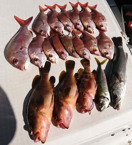 遊漁船　家入 釣果