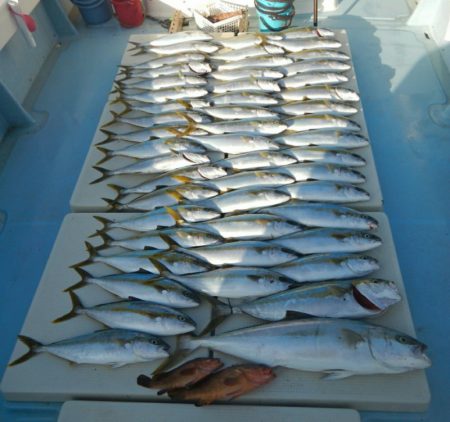 きずなまりん 釣果