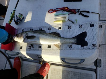 海龍丸（島根） 釣果