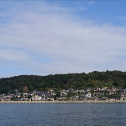 遊漁船 家入 釣果