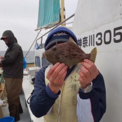 島きち丸 釣果