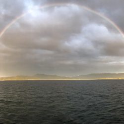 アマテラス 釣果