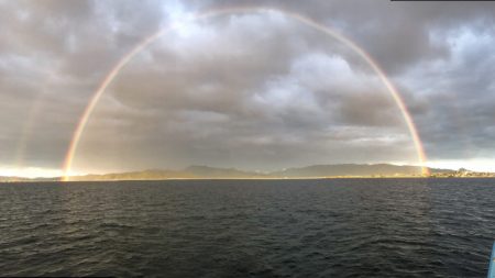 アマテラス 釣果