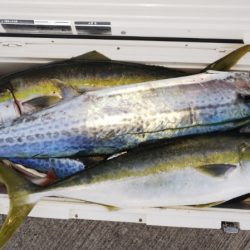 第二龍勢丸 釣果