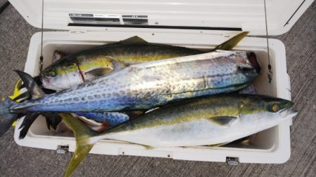 第二龍勢丸 釣果