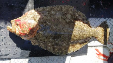 第二龍勢丸 釣果