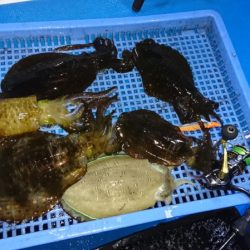 第三共栄丸 釣果