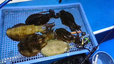 第三共栄丸 釣果