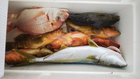 第二龍勢丸 釣果