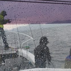 第二龍勢丸 釣果