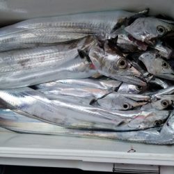 小島丸 釣果