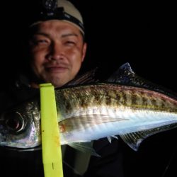 シースナイパー海龍 釣果