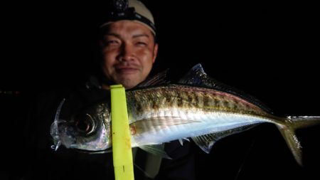 シースナイパー海龍 釣果