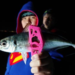 シースナイパー海龍 釣果