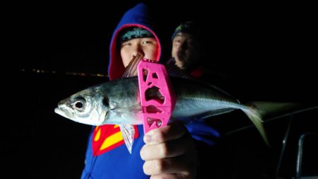 シースナイパー海龍 釣果