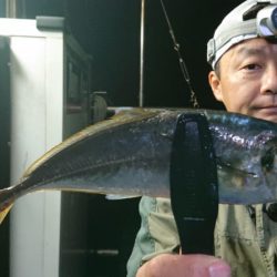 シースナイパー海龍 釣果