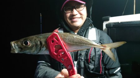 シースナイパー海龍 釣果