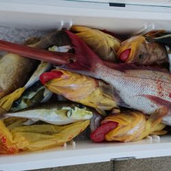 海皇丸 釣果