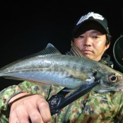 シースナイパー海龍 釣果