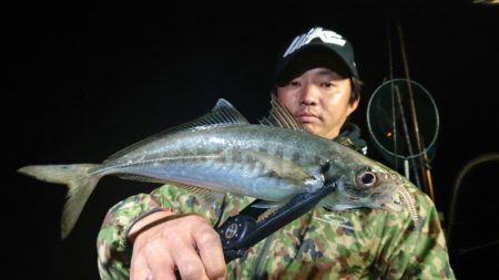 シースナイパー海龍 釣果