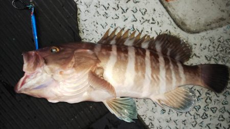 第二龍勢丸 釣果