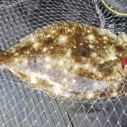 第二龍勢丸 釣果