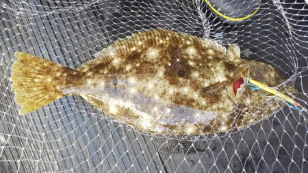 第二龍勢丸 釣果