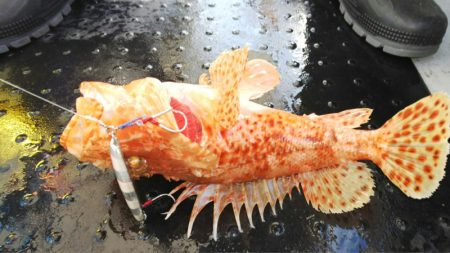 第二龍勢丸 釣果