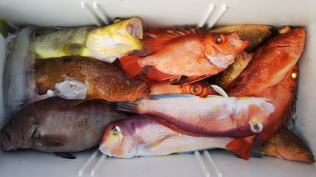 第二龍勢丸 釣果