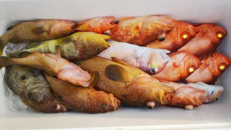 第二龍勢丸 釣果