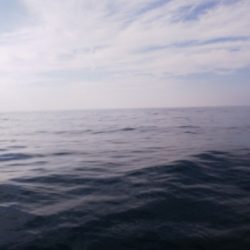 第二龍勢丸 釣果