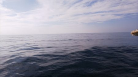 第二龍勢丸 釣果