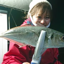 シースナイパー海龍 釣果