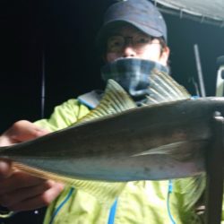 シースナイパー海龍 釣果